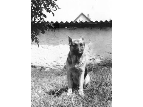 Foto 14